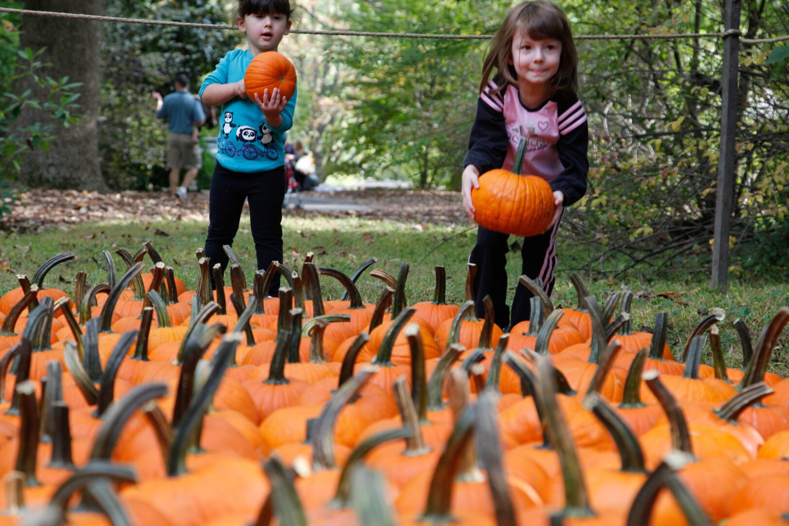 Two children standing in a field of pumpkins.